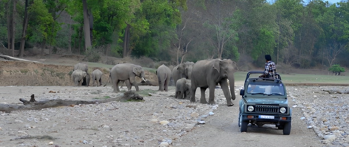 Rajaji National Park